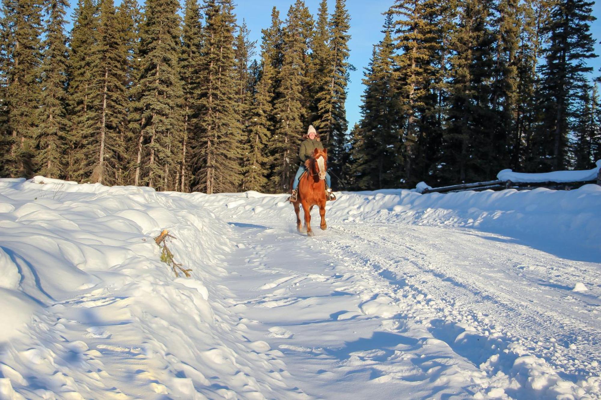 Red Cariboo Resort Anahim Lake Экстерьер фото